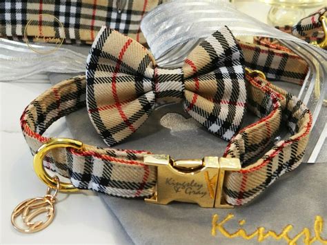 burberry dog collar.